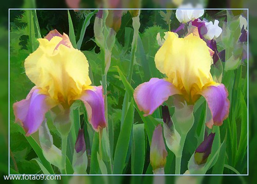 梦见鬼叫我给她烧纸钱的含义