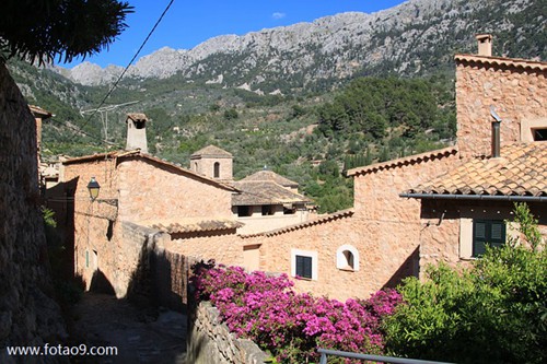 梦见下牙一排掉下的含义_周公解梦查询_佛滔