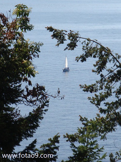 梦见女人为情哭是怎么回事?_周公解梦查询_佛