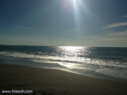 梦见粪便沾身很臭的含义