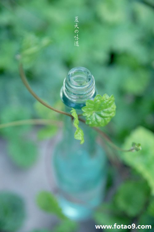 孕妇梦见灭房梁火_周公解梦查询_佛滔算命网