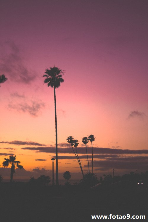 梦见家人被坏人所杀意味着什么?