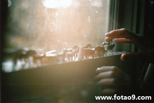 梦见所有人都戴帽子