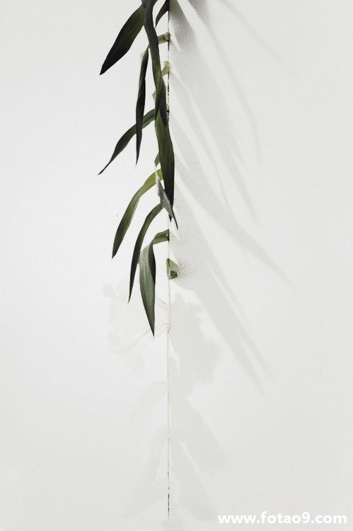 梦见我跟着去世的爸爸走是什么意思?