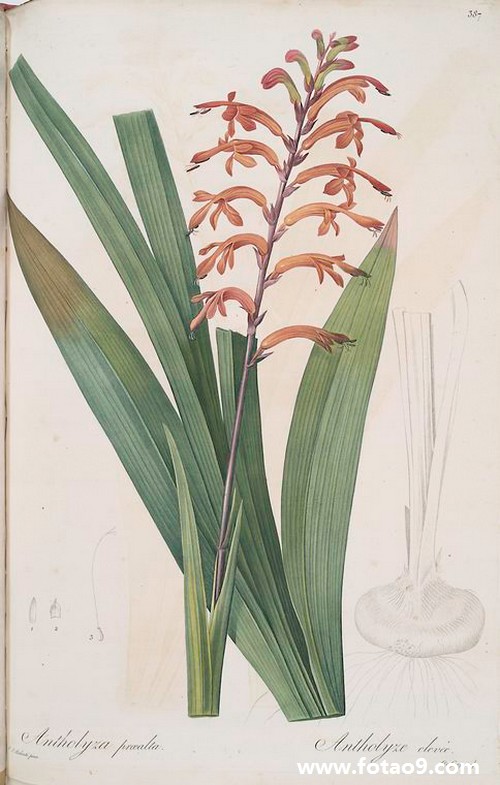 梦见男友走背后跟我说话