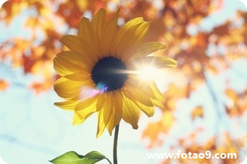 <em>梦见</em>自己<em>生了个女儿</em>。_星座占卜_奇飞知识网