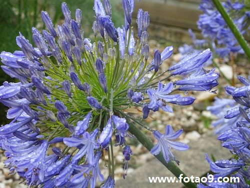 梦见男朋友家房顶被小偷盗个洞_周公解梦查询