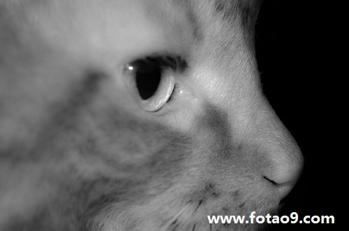 手掌心出水泡好痒怎么办?谁有什么好的方法引