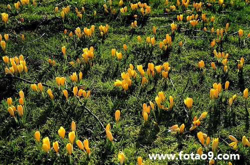 梦见我女朋友肚子疼_周公解梦查询_佛滔算命