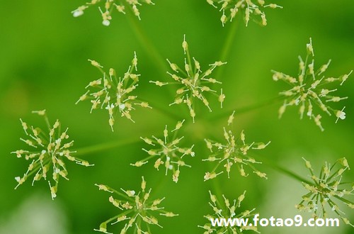 梦见别人举着火把奔跑的含义