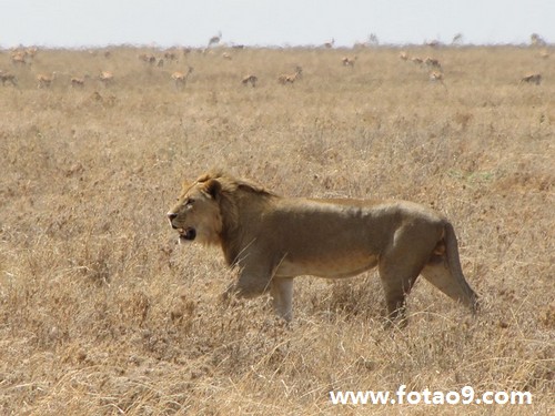 梦见自己去理发店把<em>头发</em>减<em>短了</em>_周公解梦查询