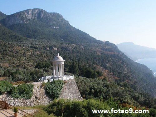 梦见蛇缠手然后蛇头被掐断