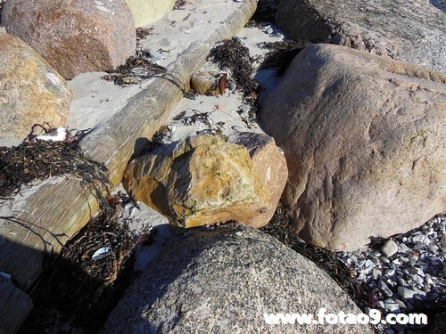 阳历2007年12月11日出生的男的命怎么样,命好