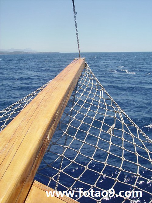 <em>梦见</em>快掉进大海有飞龙相救意味着什么?_周公