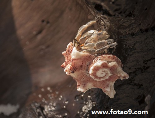 阳历1988年12月22日出生的女的命怎么样,命好