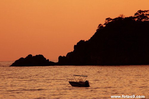 梦见梦房顶上别人种的菜_周公解梦查询_佛滔