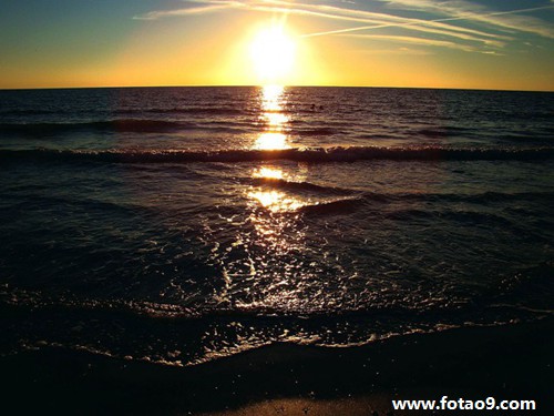 梦见开始鱼在水里成猪在水里是怎么回事?