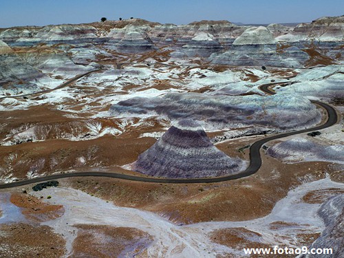 梦见梦妹拉了好多屎好不好?_周公解梦查询_佛