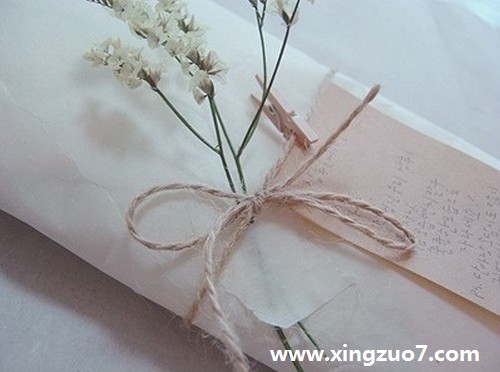 竹猫星球2016年2月星座运势2 竹猫星球2016年2月星座运势2