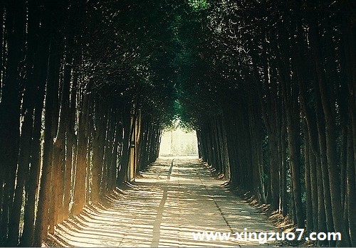 凤影焰2016年5月星座运势1 凤影焰2016年5月星座运势1