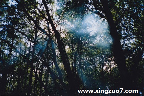 大卫桑克一周星座运势(2015.9.14-9.20)1 大卫桑克一周星座运势(2015.9.14-9.20)1