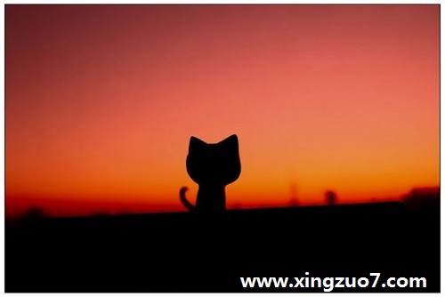丹尼尔一周星座运势(2016.2.8-2.14)3 丹尼尔一周星座运势(2016.2.8-2.14)3
