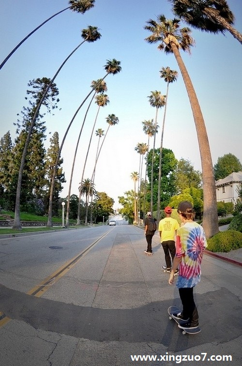 曼陀罗华一周星座运势(2015.5.18-5.24)2 曼陀罗华一周星座运势(2015.5.18-5.24)2