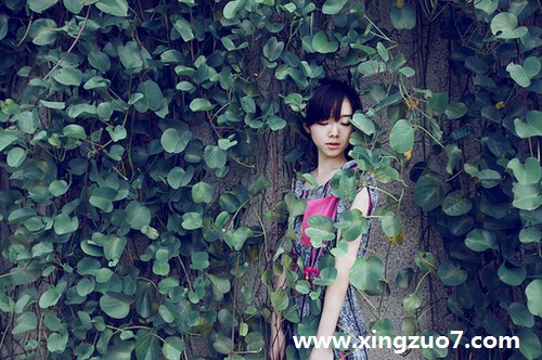 海百合2015年12月星座运势4 海百合2015年12月星座运势4