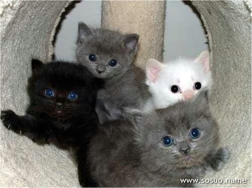 <em>梦见别人给自己剪头发</em>_周公解梦查询_佛滔算