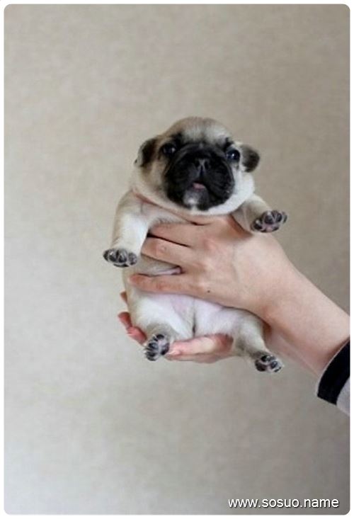 梦境之渔,探索梦见别人捡鱼并请求分享的象征意义 梦境之渔,探索梦见别人捡鱼并请求分享的象征意义