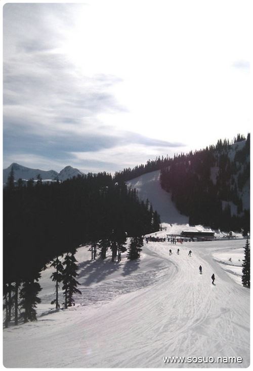 梦见花生大米绿豆饭里有好多蛆