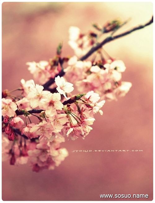 梦见<em>妹夫</em>的爹死了_周公解梦查询_佛滔算命网