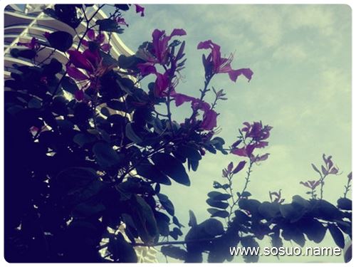 梦见女性朋友跑来跟我拍大头照