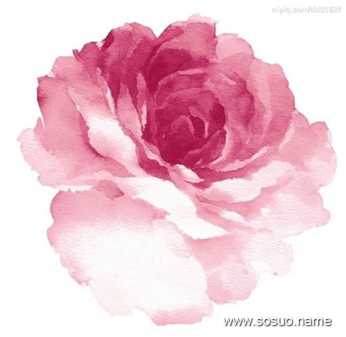 <em>梦见自己</em>拽<em>白头发</em>_周公解梦查询_佛滔算命网