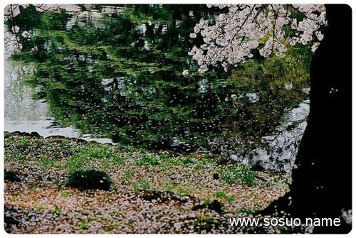 梦见死人，探索梦境背后的深层寓意