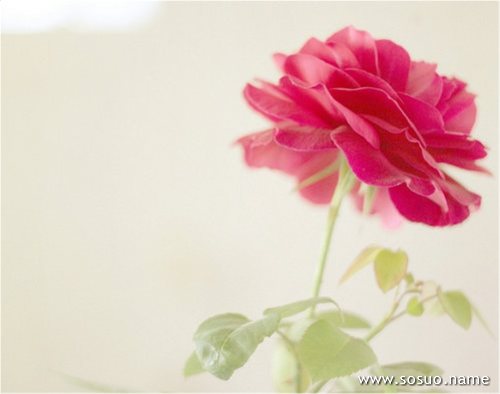 <em>梦见</em>洗羊肉没穿<em>短裤</em>有几个男人_周公解梦查询