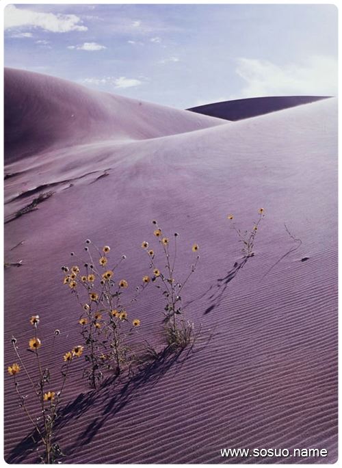 梦境之谜，为何频繁梦见牙齿松动与脱落？解梦之旅的深度剖析