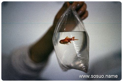 孕期梦境的奥秘，为何孕妇会梦见自己来例假？