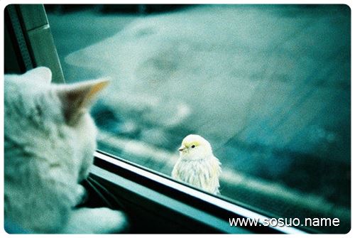 梦见自己来月经打麻将会赢吗