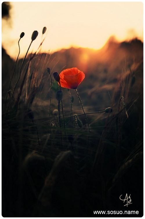 <em>梦见生个</em>两个<em>女儿</em>小的还在吃奶_周公解梦查询