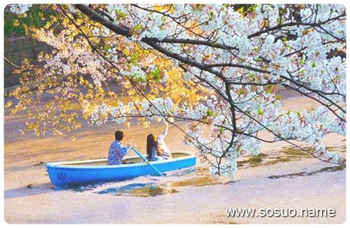 梦见考试抄别人试卷