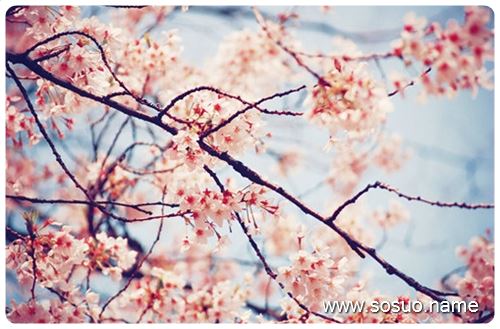 梦见脚趾甲盖掉了