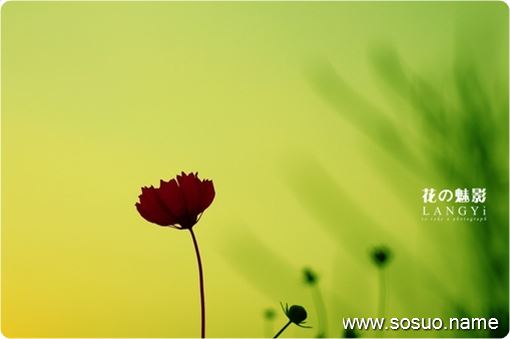 <em>梦见女朋友</em>结过婚_周公解梦查询_佛滔算命网