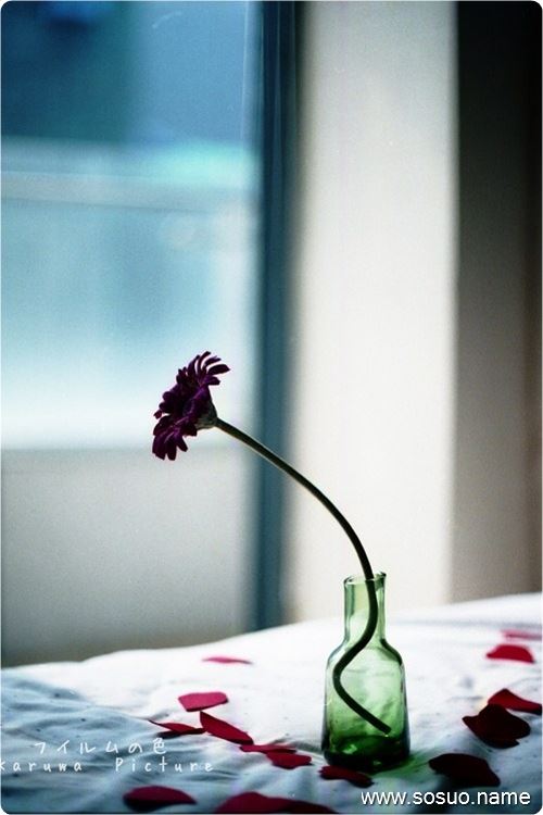 <em>梦见</em>怀孕了自己<em>生个女儿</em>是_周公解梦查询_佛