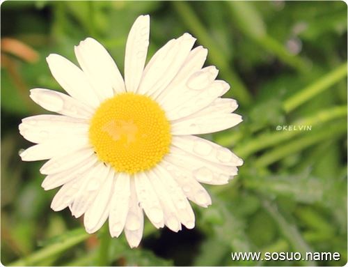 <em>梦见自己头发</em>有_周公解梦查询_佛滔算命网