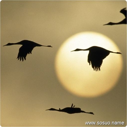 解梦,当海水从四面八方涌来——一场关于内心深处的探索与觉醒 解梦,当海水从四面八方涌来——一场关于内心深处的探索与觉醒