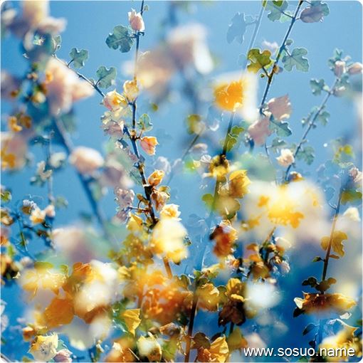 梦见游泳池里有条大蛇的含义