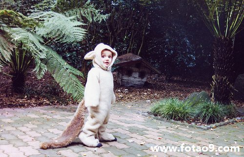 梦见父亲和爷爷去世