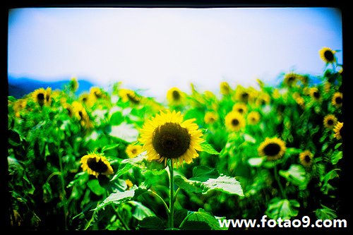 梦见穿小孩鞋各一只是怎么回事?