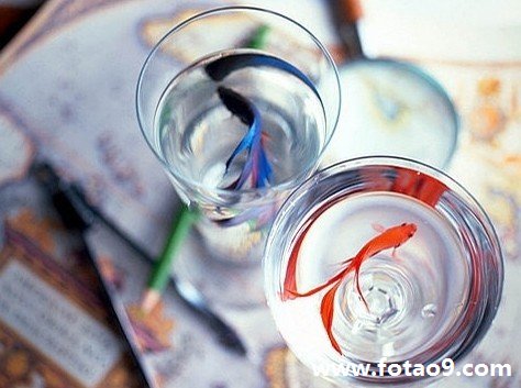 梦境交织，同时梦见已故与在世亲人的深层含义